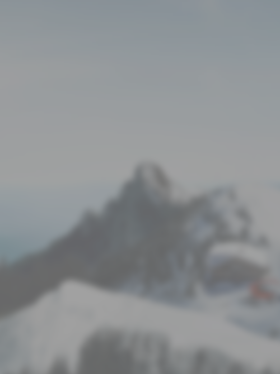 Screen der Kässbohrer Geländefahrzeug AG Website